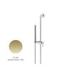 Newform 67556.61 barre 640mm + set douche PVD Glossy gold