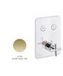Newform  Blink 70411E.61.020 façade mitigeur thermo 2 voies à encastrer PVD Glossy gold
