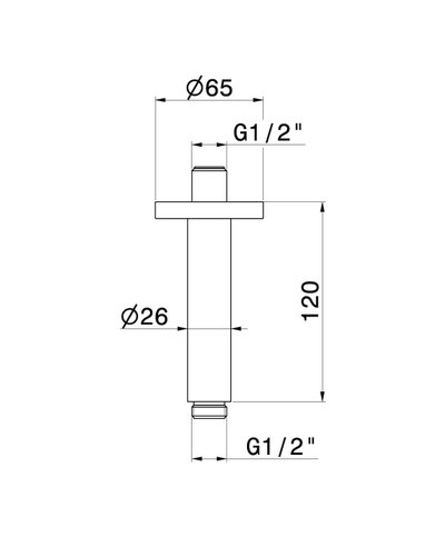 Newform 28150.58.061 Bras douche vertical 120 mm PVD Copper bronze
