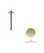 Newform 28150.61.20 Bras douche vertical 120 mm PVD Glossy gold