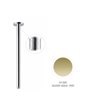 Newform 28151.61.20 Bras douche vertical 350 mm PVD Glossy gold