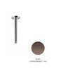 Newform 27671.58.061 Bras douche vertical 200 mm PVD Copper bronze