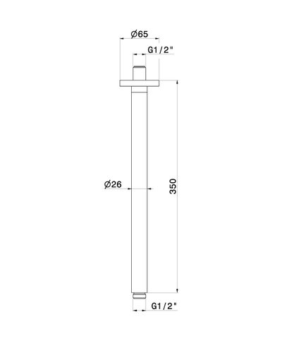 Newform 27680.31 Bras douche vertical 350 mm look inox