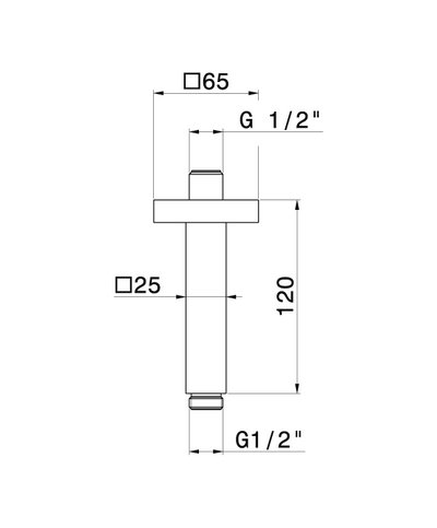 Newform 28152.01.093 Bras douche vertical carré 120 mm Noir mat