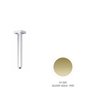 Newform 26520.61.20 Bras douche vertical carré 500 mm PVD Glossy gold