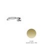 Newform Douche à main PVD Glossy gold - 9196.61.20