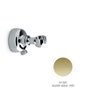 Newform Coude mural + support douchette PVD Glossy gold - 9195.61.020